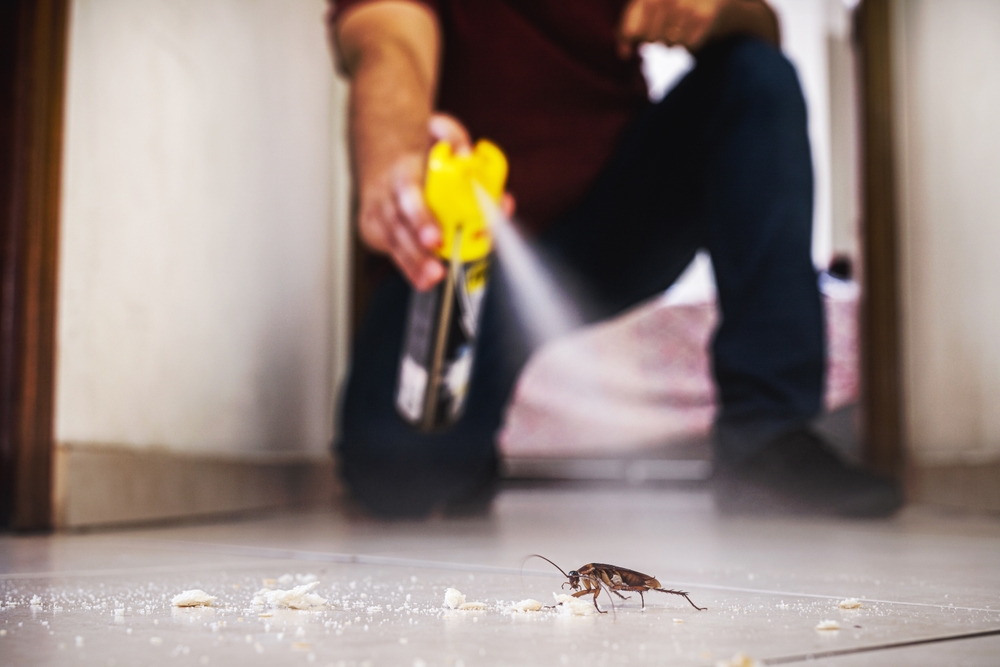 spraying insecticide on cockroach