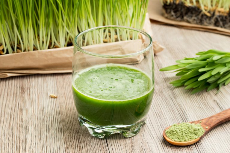 barley grass drink