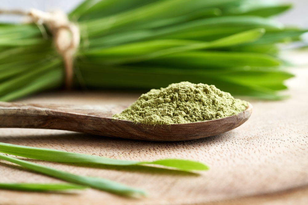 barley grass rich in fiber