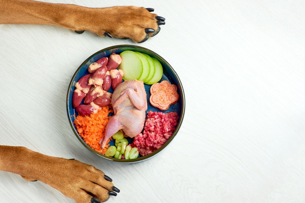 homemade dog food