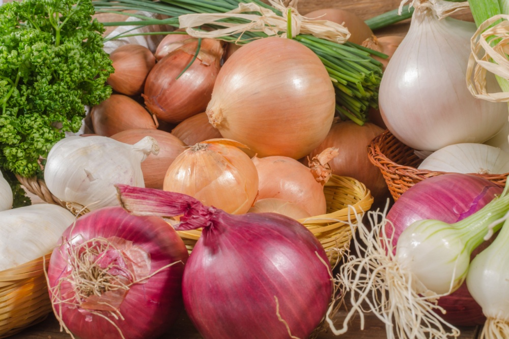 onion, garlic, chives
