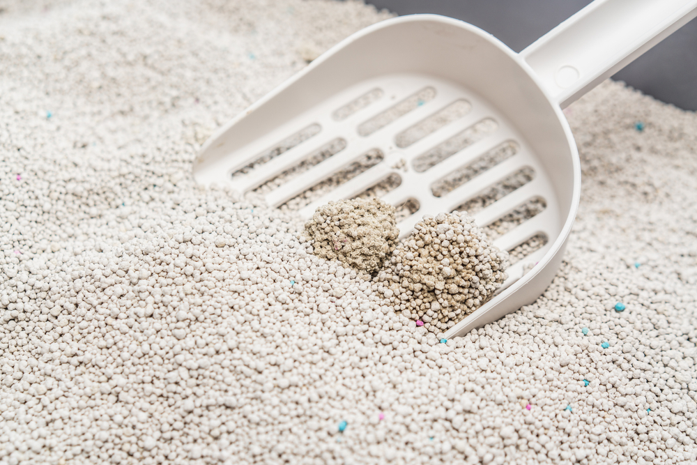 clumping cat litter