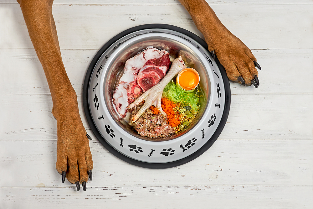 dog food that can cause allergies